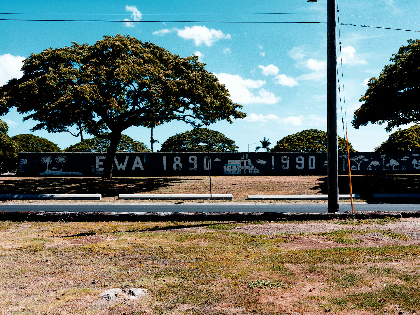 A painted Ewa 1890 1990 wall under a monkeypod tree and blue sky, with Kodak Kodachrome 64.