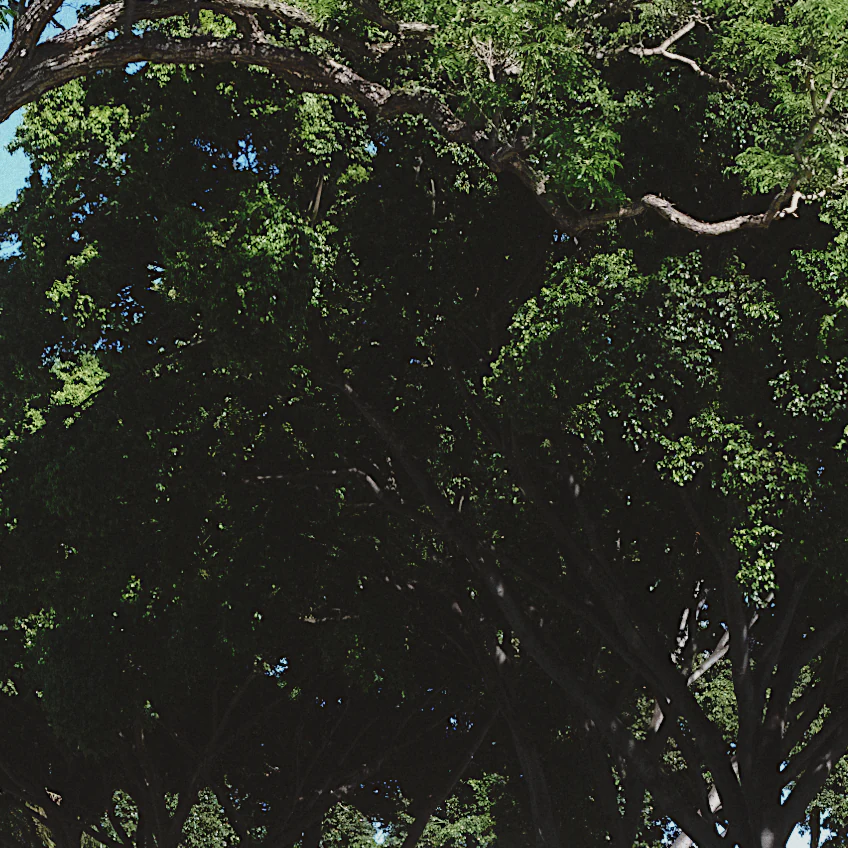 The same shade in milkglass with Kodak Gold 200, the leaves still there.